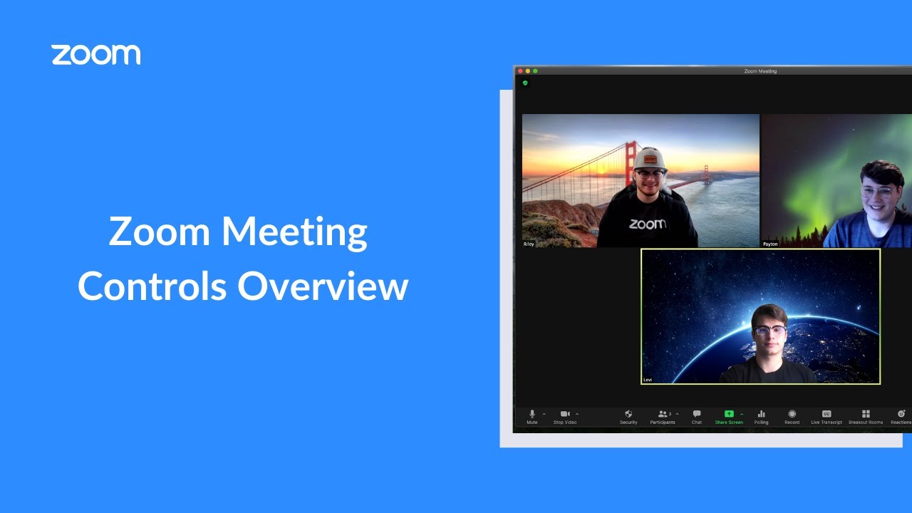 How To Use Zoom Meeting Controls Vdeochat